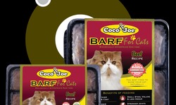 Exploring the World of Cat Food: A Dive into the Delight of Cat Wet Food