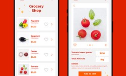 Benefits & Features You Get in White-Label On-Demand Grocery Delivery App