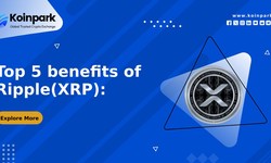 Top 5 benefits of Ripple(XRP): XRP to INR