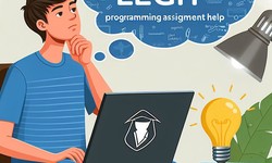 Legitimate or Not? Investigating ProgrammingHomeworkHelp.com for Python Assignment Help Service