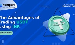 The Advantages of Trading USDT Using INR