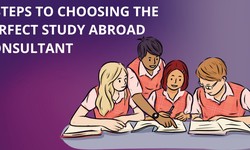 5 Steps to Choosing the Perfect Study Abroad Consultant