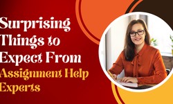 Surprising Things to Expect From Assignment Help Experts