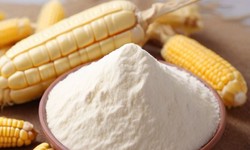 Prefeasibility Report on a Maize Starch Manufacturing Unit, Industry Trends and Cost Analysis