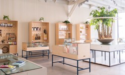 Elevate Your Experience: Finding the Perfect Dispensary