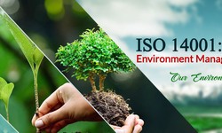 The Significance of Brand Ambassadors in ISO 14001 Certification in Pakistan