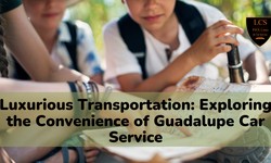 Luxurious Transportation: Exploring the Convenience of Guadalupe Car Service