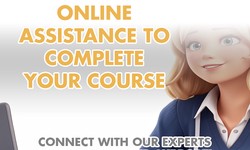 How Much Does It Cost to Avail TakeMyClassCourse for Online Classes