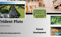 Trident Plots Panipat | City Outside. Tranquility Inside.