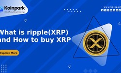 What is ripple(XRP) and How to buy XRP:  XRP to INR