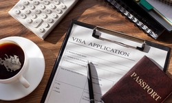 5 Reasons Why You Need an Immigration Solicitor in Birmingham