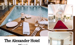 "Seaside Splendor: The Alexander Hotel Miami – A All-Suite Oceanfront Oasis of Luxury and Elegance