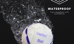 Explore Vector Ball's excitement in the dynamic world of sports