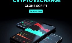 Comparing the Most Popular Crypto Exchange Clone Scripts: Features and Process