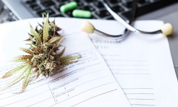 10 Tips for Choosing the Right Medical Marijuana Program