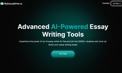 The Good AI Companion: Enhancing Writing Skills with myessaywriter.ai in 2024