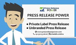 Unleashing the Potential of Press Release Distribution
