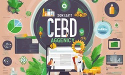 What Makes Any CBD Business Unique With SEO?
