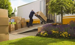 Professional Moving Company Strategies For Safeguarding Your Items