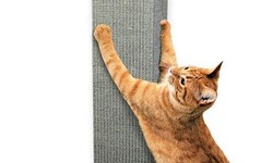 The Ultimate Guide to Choosing a Smart Cat Scratching Post