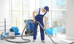 Revitalize Your Carpet with Top Brisbane Cleaners - Carpet Cleaning Brisbane