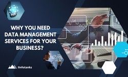 Why You Need Data Management Services for your Business? - IInfotanks