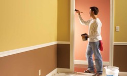 Picture-Perfect Homes: The Impact of Professional Home Painters