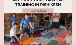 Embark on a Transformative Journey with 200 Hour Yoga Teacher Training in Rishikesh