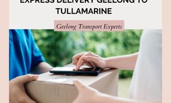 Unleashing Swift Solutions: Express Delivery Geelong to Tullamarine