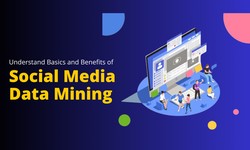 Understanding Social Media Data Mining Basics and Benefits