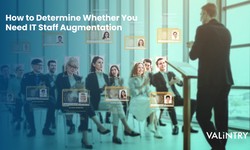 Empower Your Team with Expert IT Staff Augmentation Services
