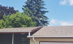 What Are The Different Types Of Roof Repair Services?