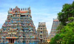 Journey through the South India: Crafting the Perfect Itinerary for a 14-Day Itinerary