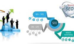 SEO Company Services: Why Your Business Needs Professional Assistance