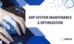 ADP System Maintenance & Optimization