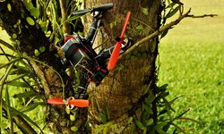 Drones and Grinders: A Dynamic Duo for Superior Tree Services