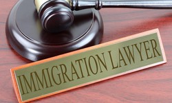 Can an Immigration Lawyer in Windsor Help Overcome Inadmissibility?