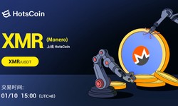 Monero (XMR): A pioneer in privacy cryptocurrencies, a closer look at its technical features and future prospects