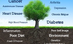 Functional Medicine Doctors: How can Identifying the Root Cause of the Problem.