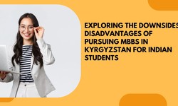 Exploring the Downsides: Disadvantages of Pursuing MBBS in Kyrgyzstan for Indian Students
