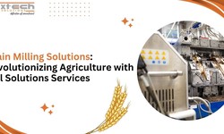 Grain Milling Solutions: Revolutionizing Agriculture with Mill Solutions Services