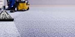 Mold and Mildew in Carpets: Prevention and Easy Fixes