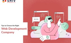 Tips to Choose the Right Web Development Company