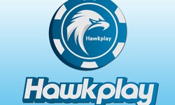 Navigating Hawkplay: Your Unconventional Guide to Effortless Gaming