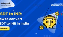 USDT to INR | How to convert USDT to INR in India