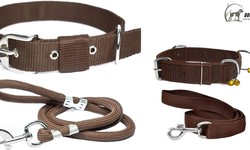 Unleashing Style and Safety: A Comprehensive Guide to Dog Collar and Leash Sets
