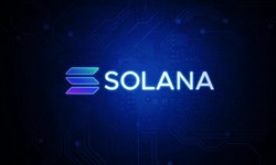 Empowering Developers: A Journey into Solana's Blockchain Development Realm