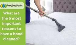 What are the 5 most important reasons to have a bond cleaned?