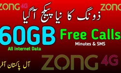 Zong Sim Lagao Offer | A Comprehensive Guide