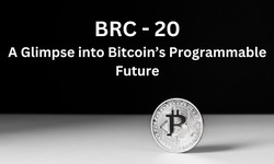 BRC-20 Adoption: A Glimpse into Bitcoin’s Programmable Future